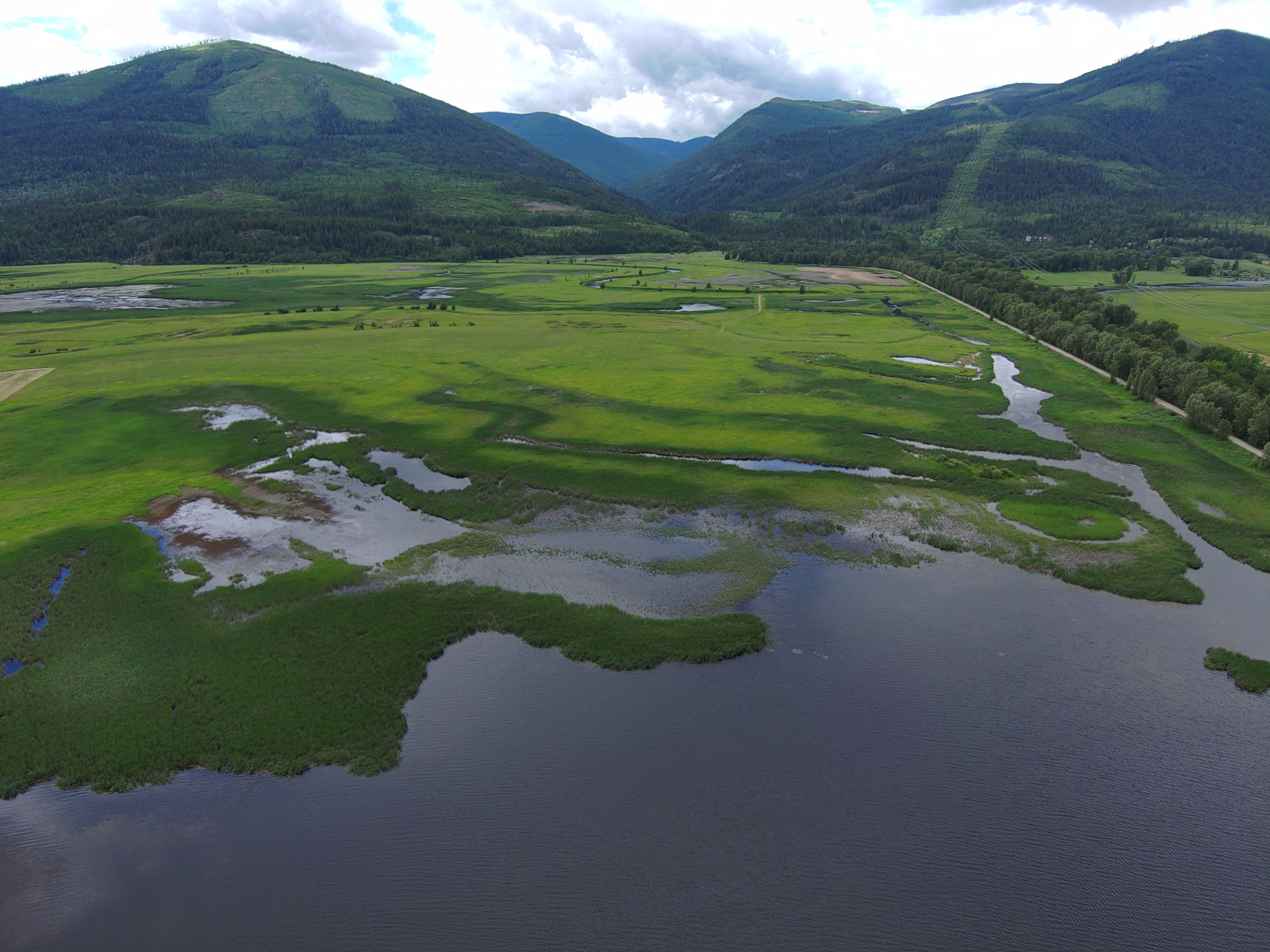 Aerial photo of Boundary-Smith Creek WMA