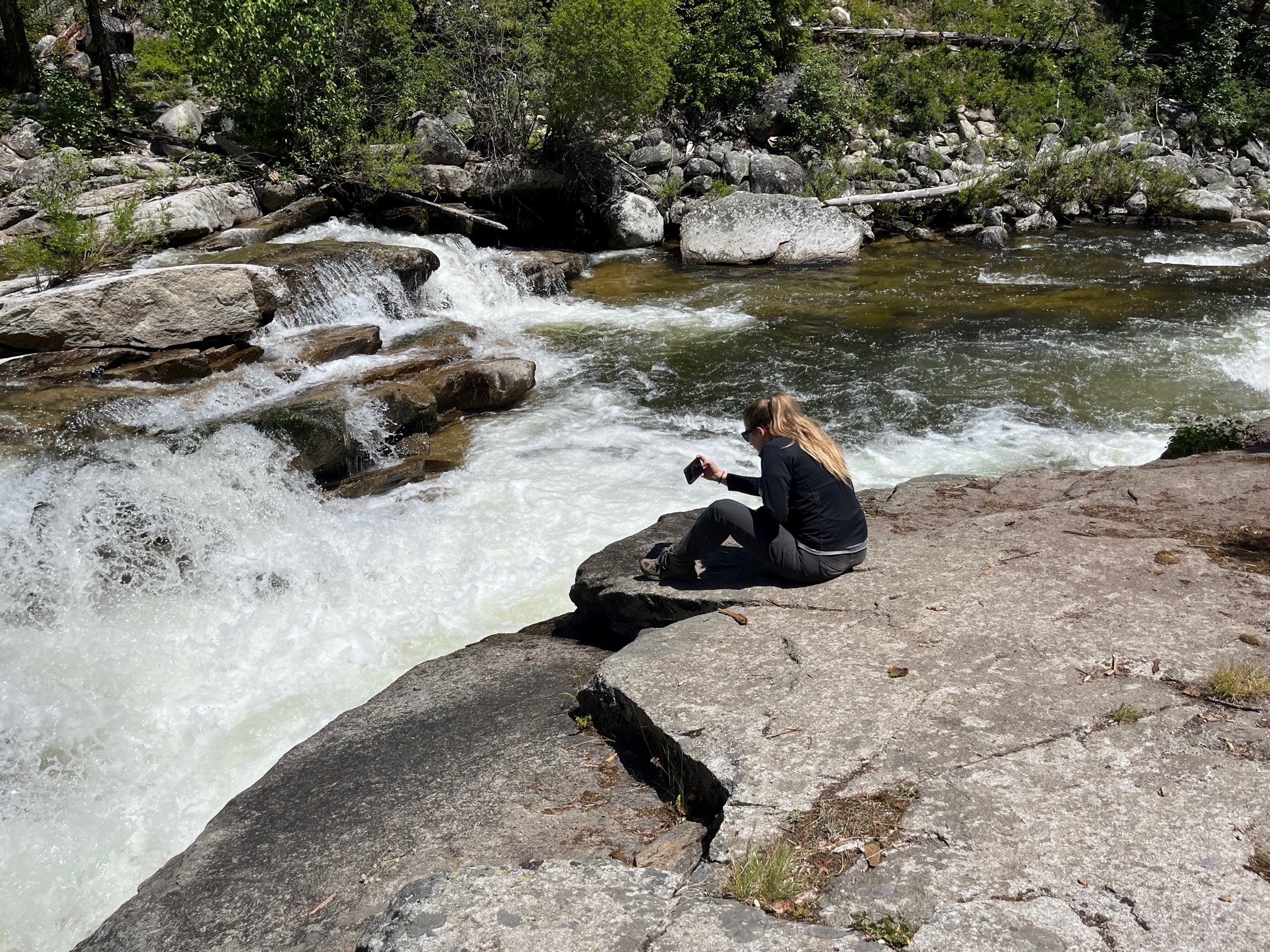 Amber watching salmon jumping