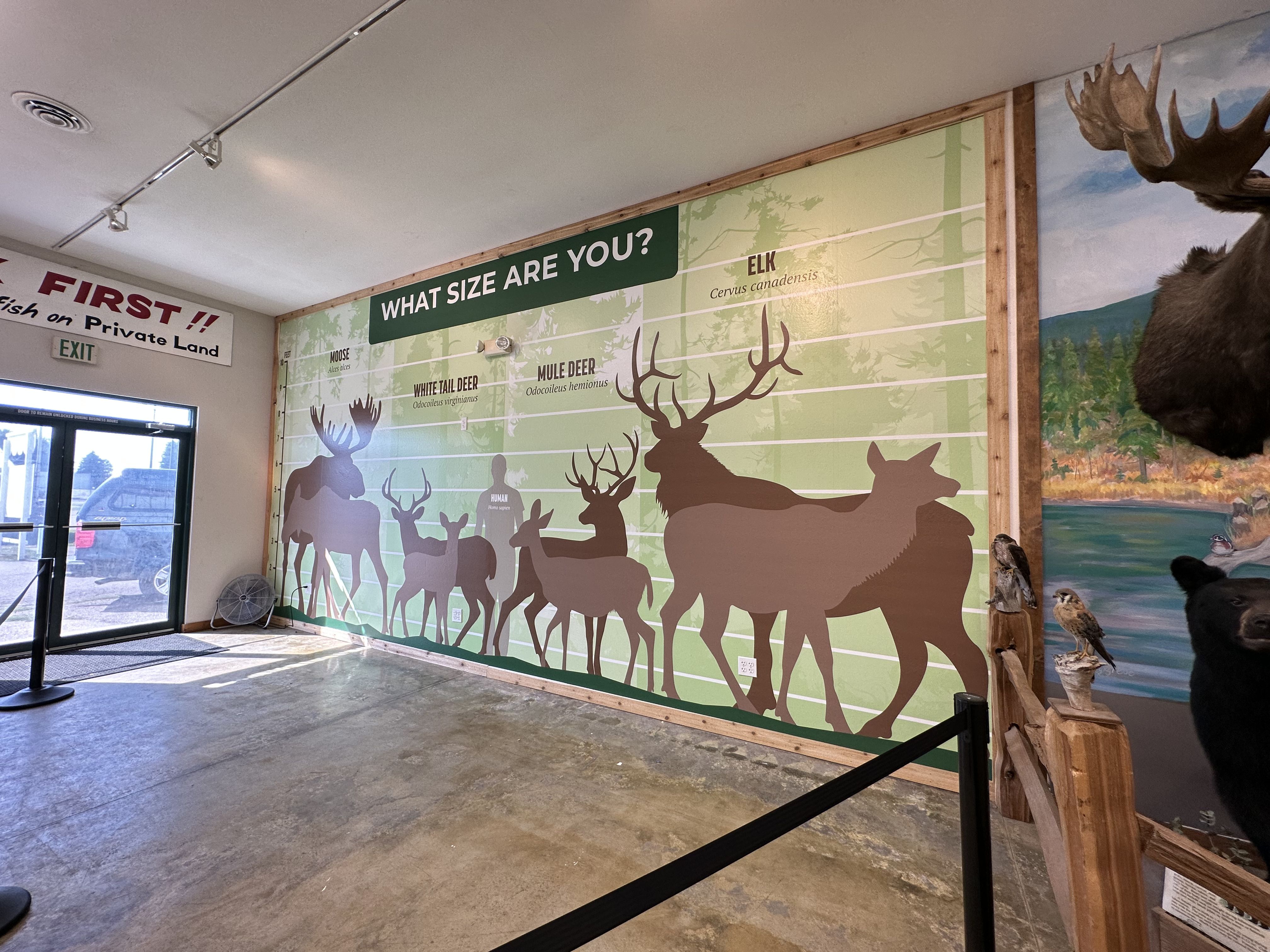 Big game wall mural at the North Idaho State Fairground 3D youth archery range