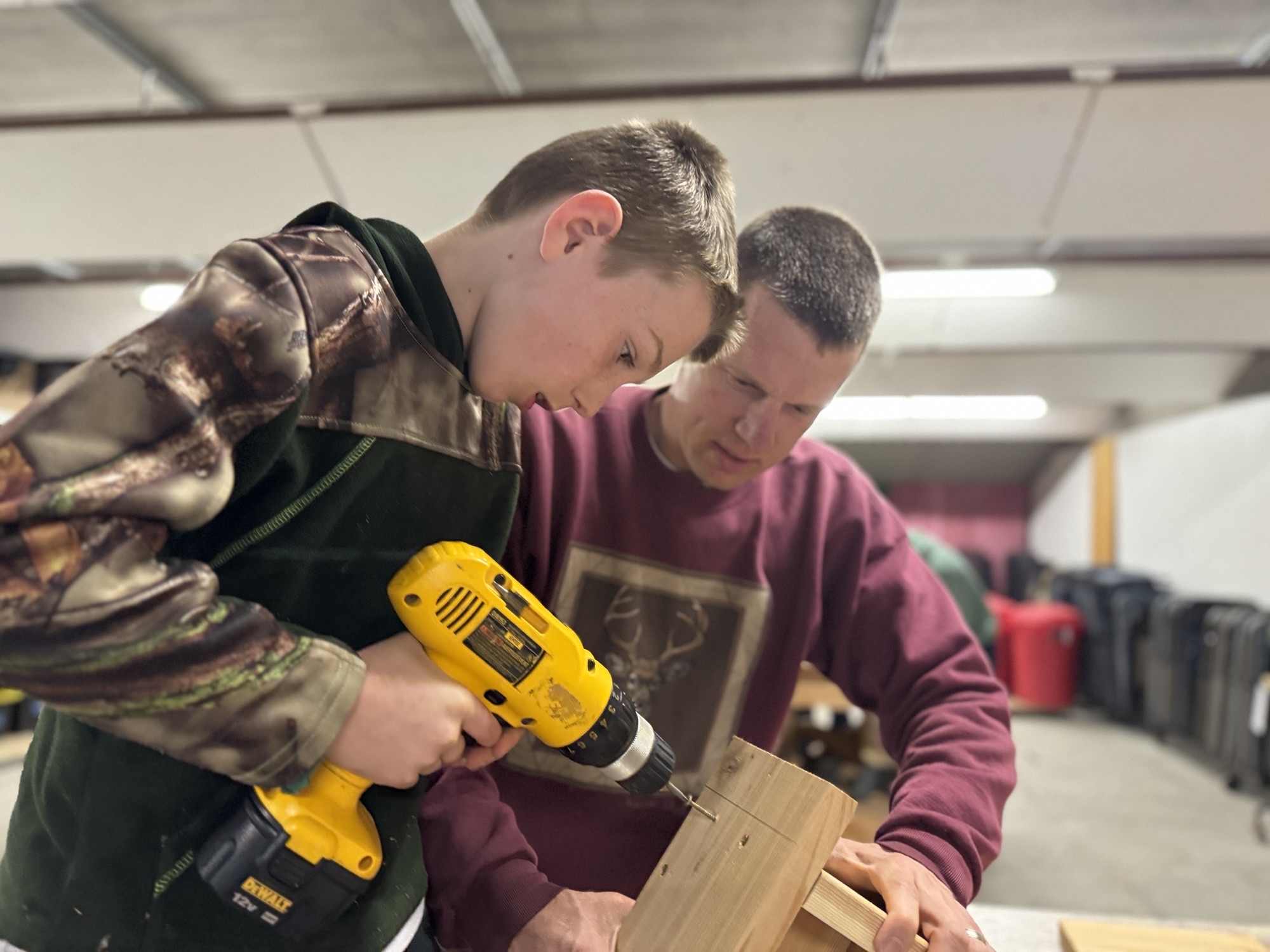 Bird box building