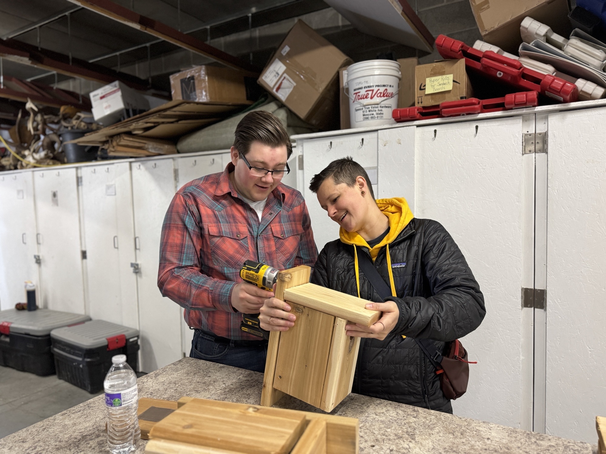 Bird box building