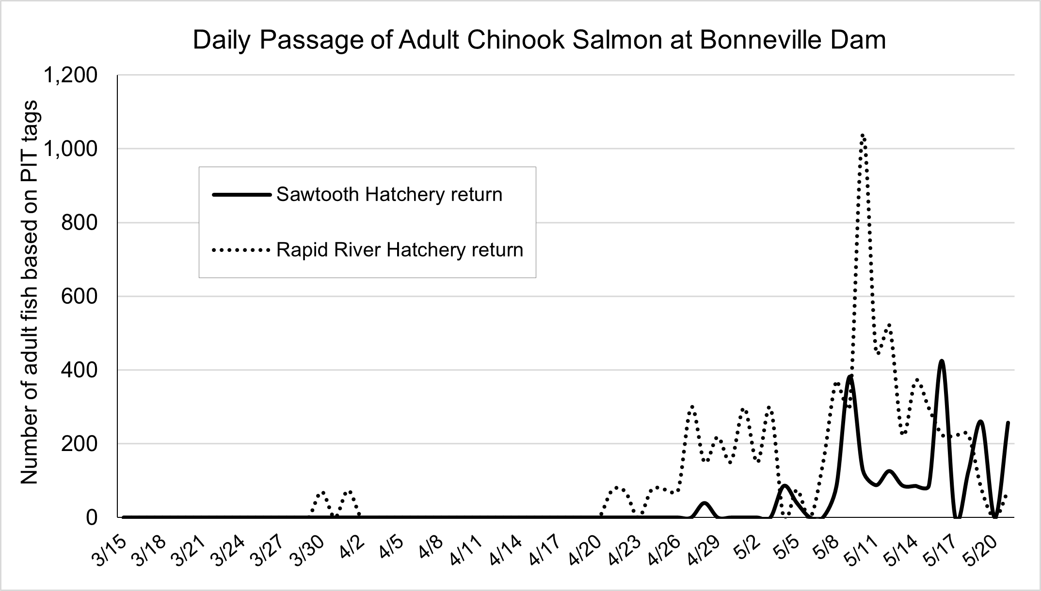 Sawtooth & Rapid River at Bonneville Dam 2023