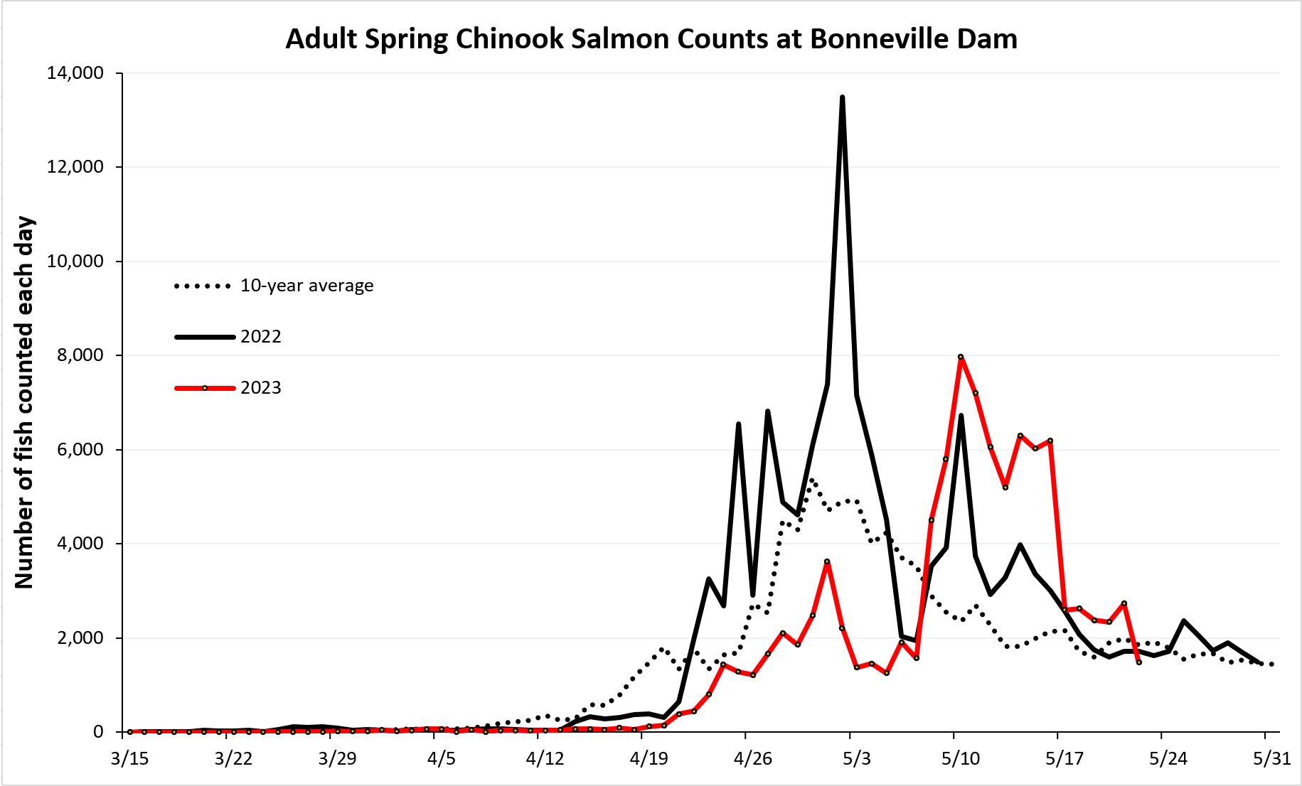 Chinook run timing over Bonneville 5-23-23