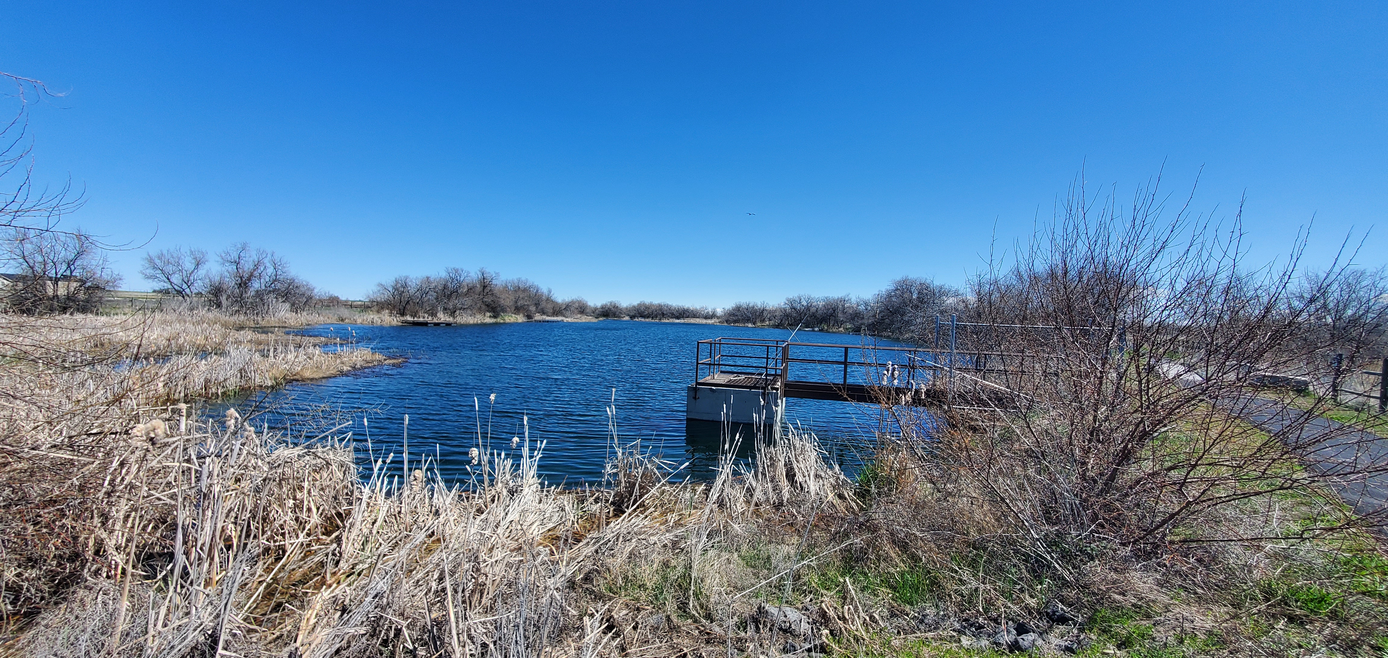 blue pond with outlet structure on side and surrounded by vegetation