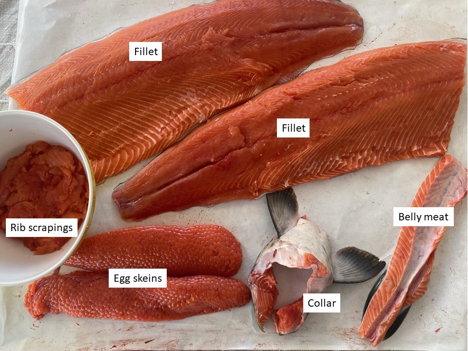 Chinook salmon processed