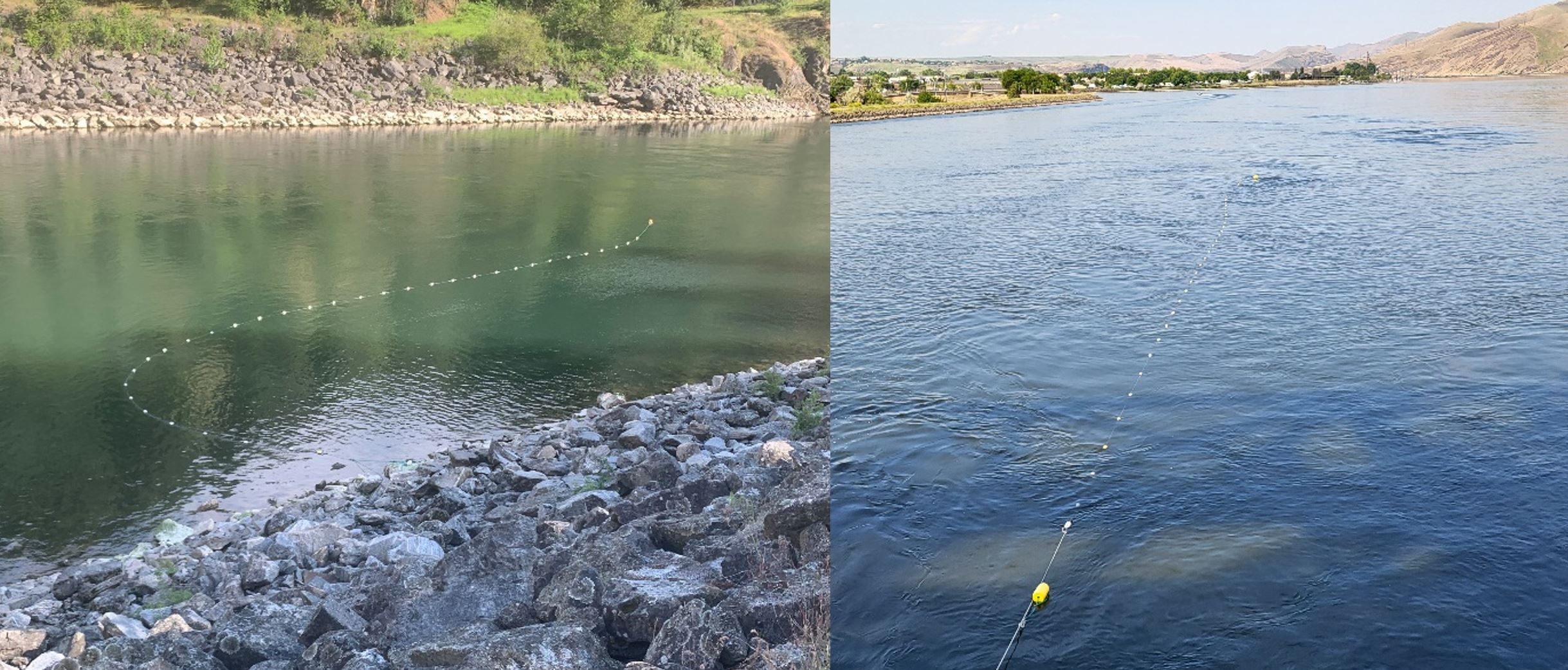 Gillnetting in the clearwater