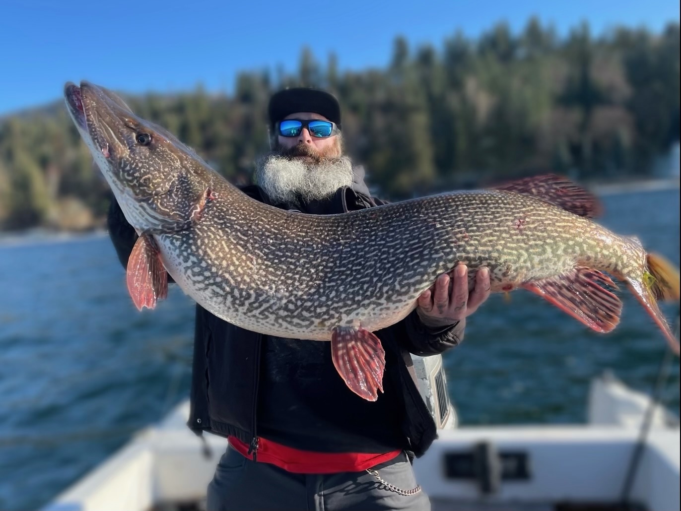 Certified state record northern pike caught in Hayden Lake, Idaho.