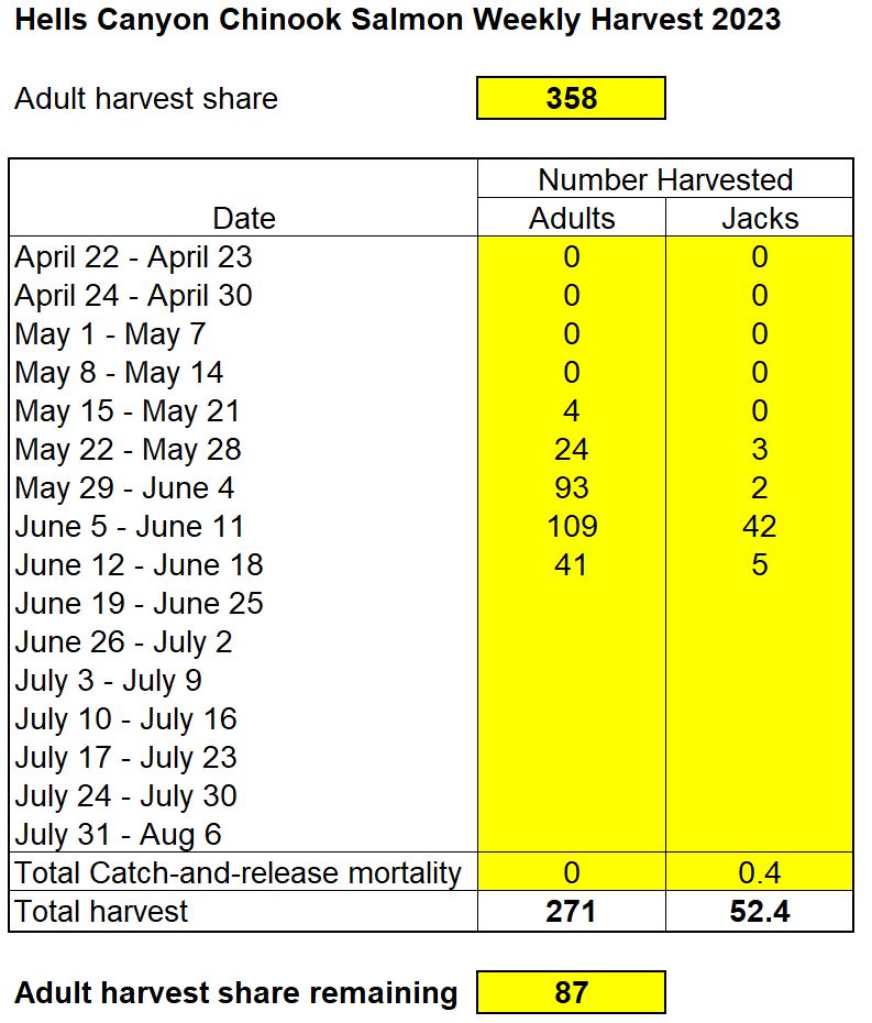 Weekly chinook harvest in Hells Canyon 6-20-23