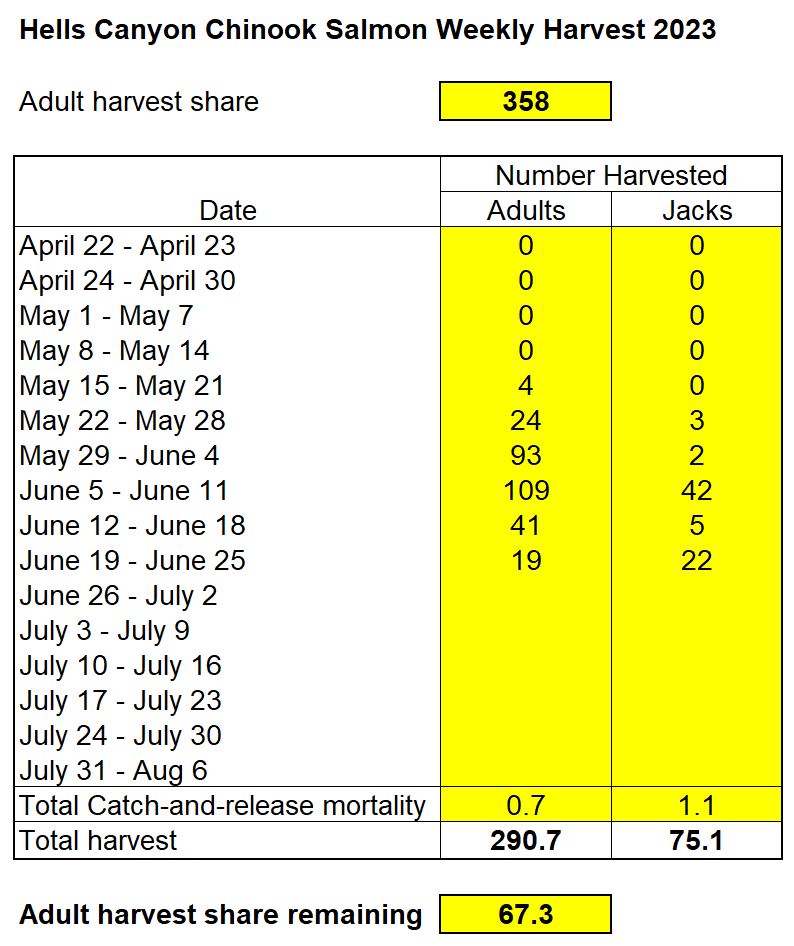 Weekly chinook harvest in Hells Canyon 6-27-23