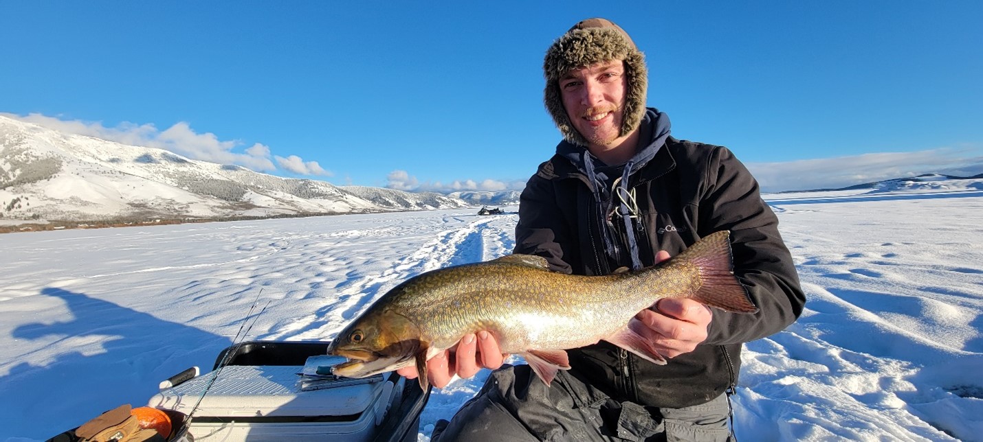 Henrys Lake brook trout