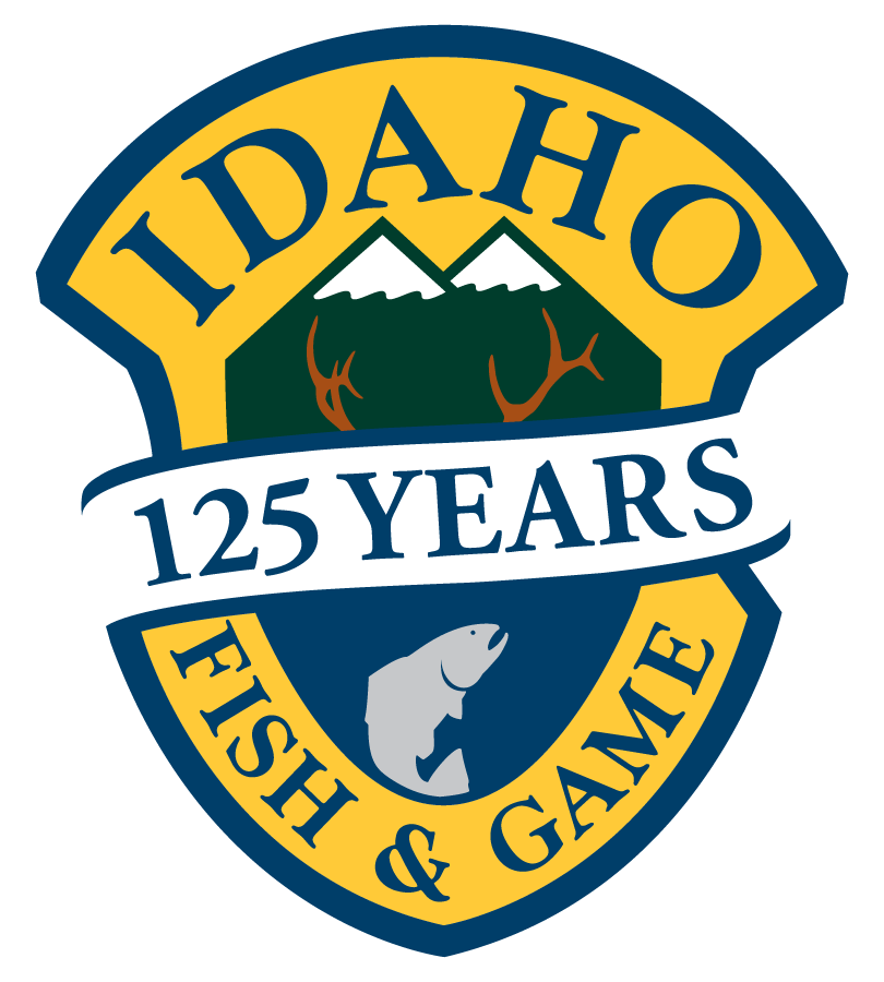 IDFG 125 celebration logo