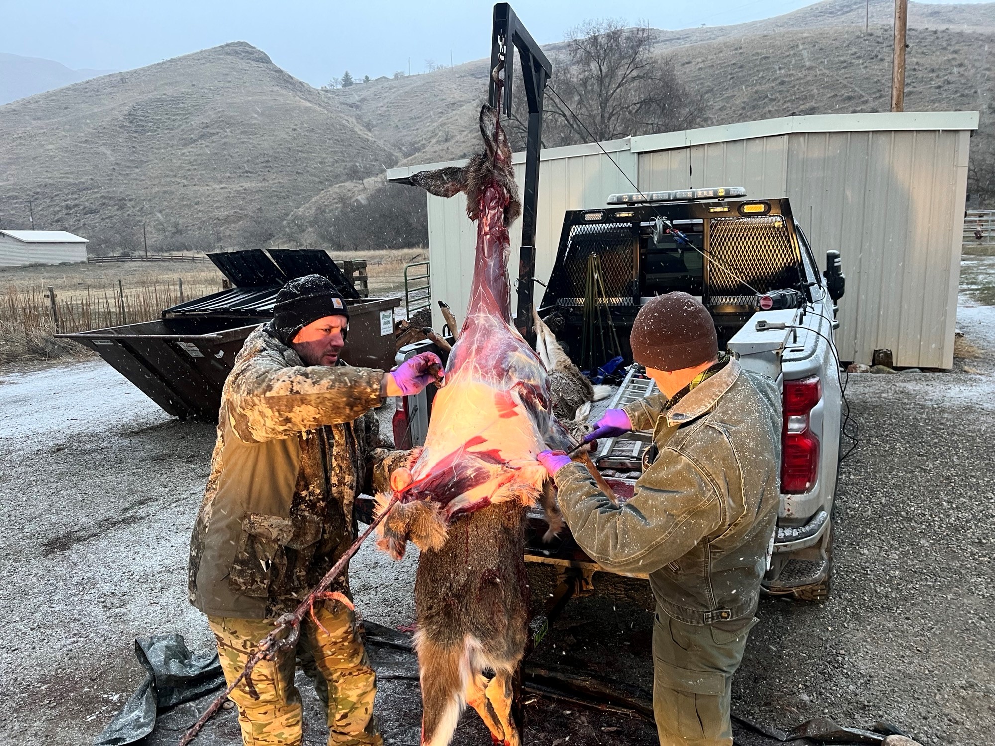 Deer removal, Slate Creek, CWD