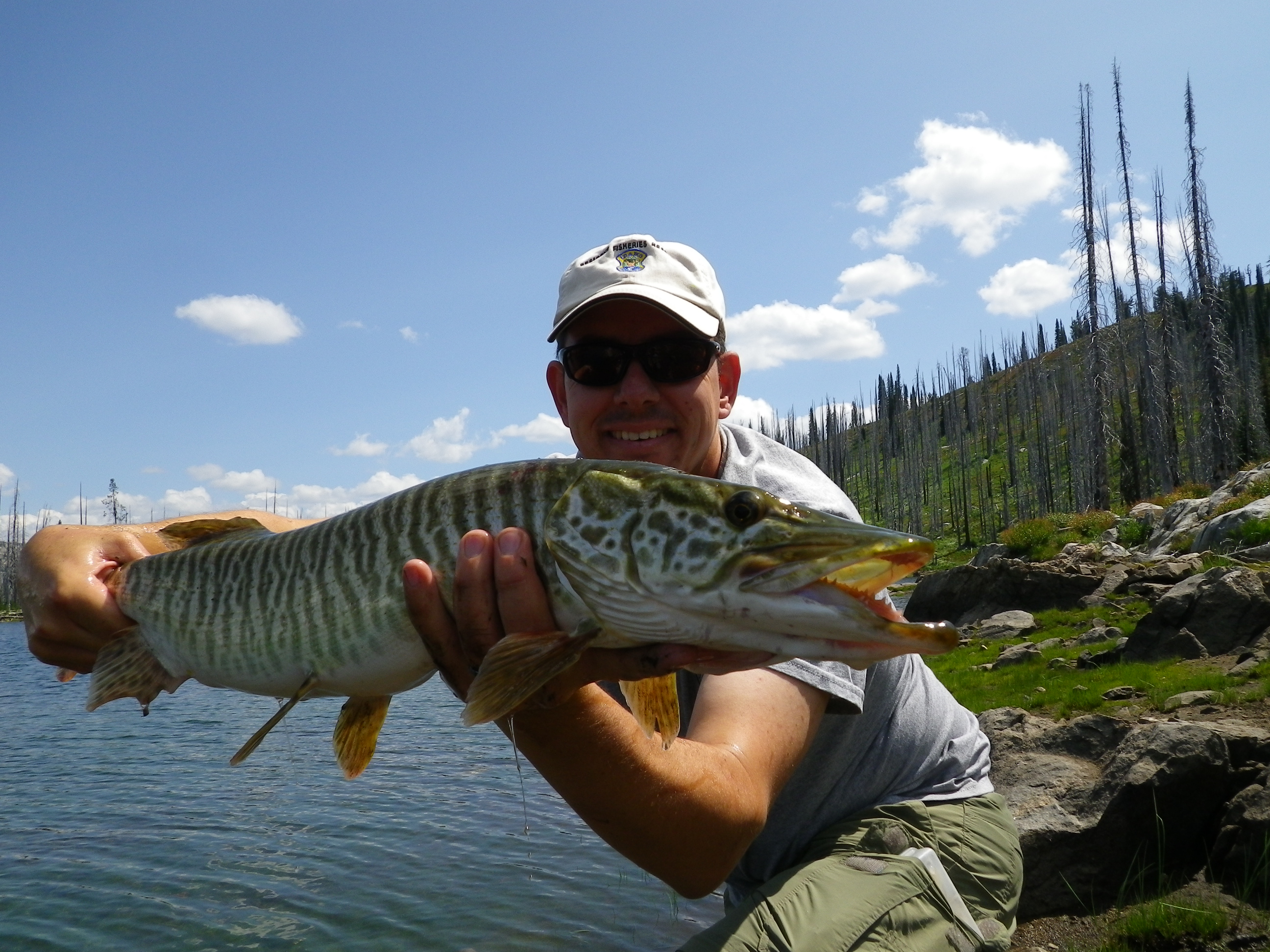 tiger muskie 0203_mkoenig