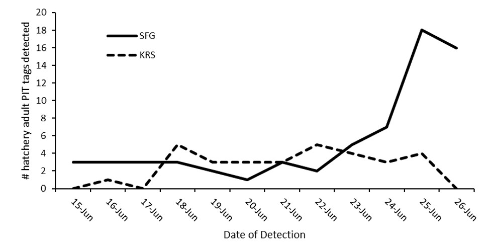 Detection graph