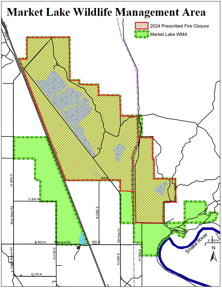 market lake burn area