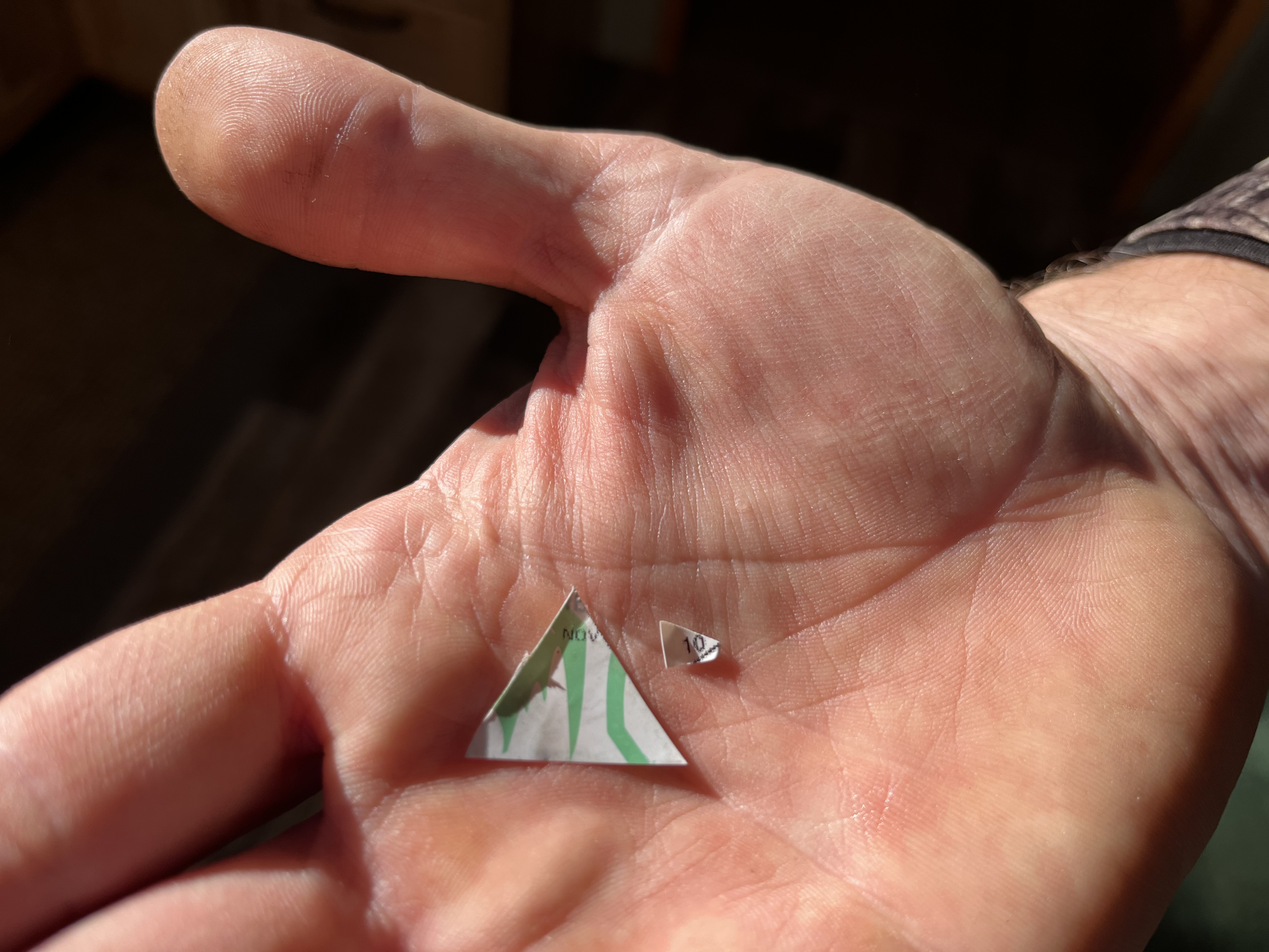 Notched tag