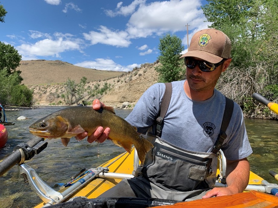 Big Lost Cutthroat Trout