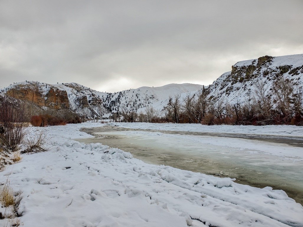 Kriley Gulch