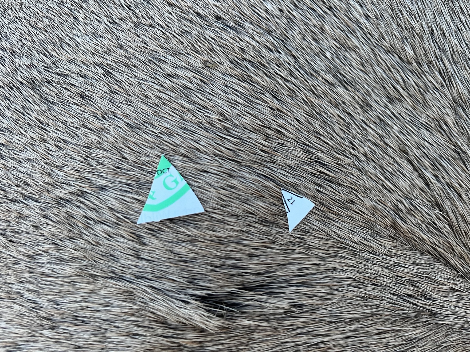 Proper tag notch