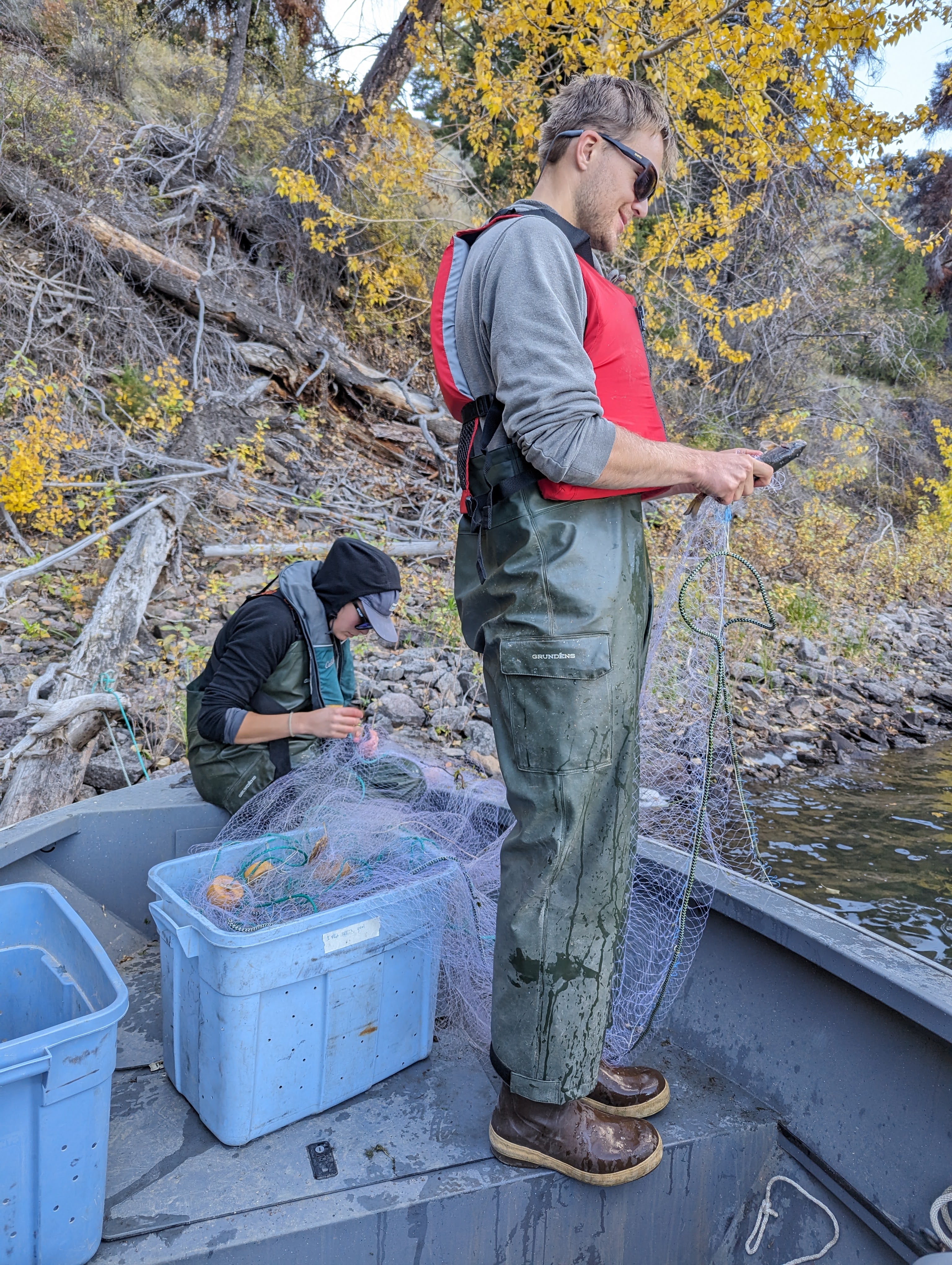 IDFG fishery technicians processing fish from a gill net. 