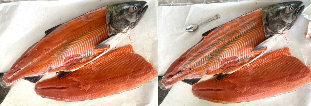 Chinook Salmon fillet