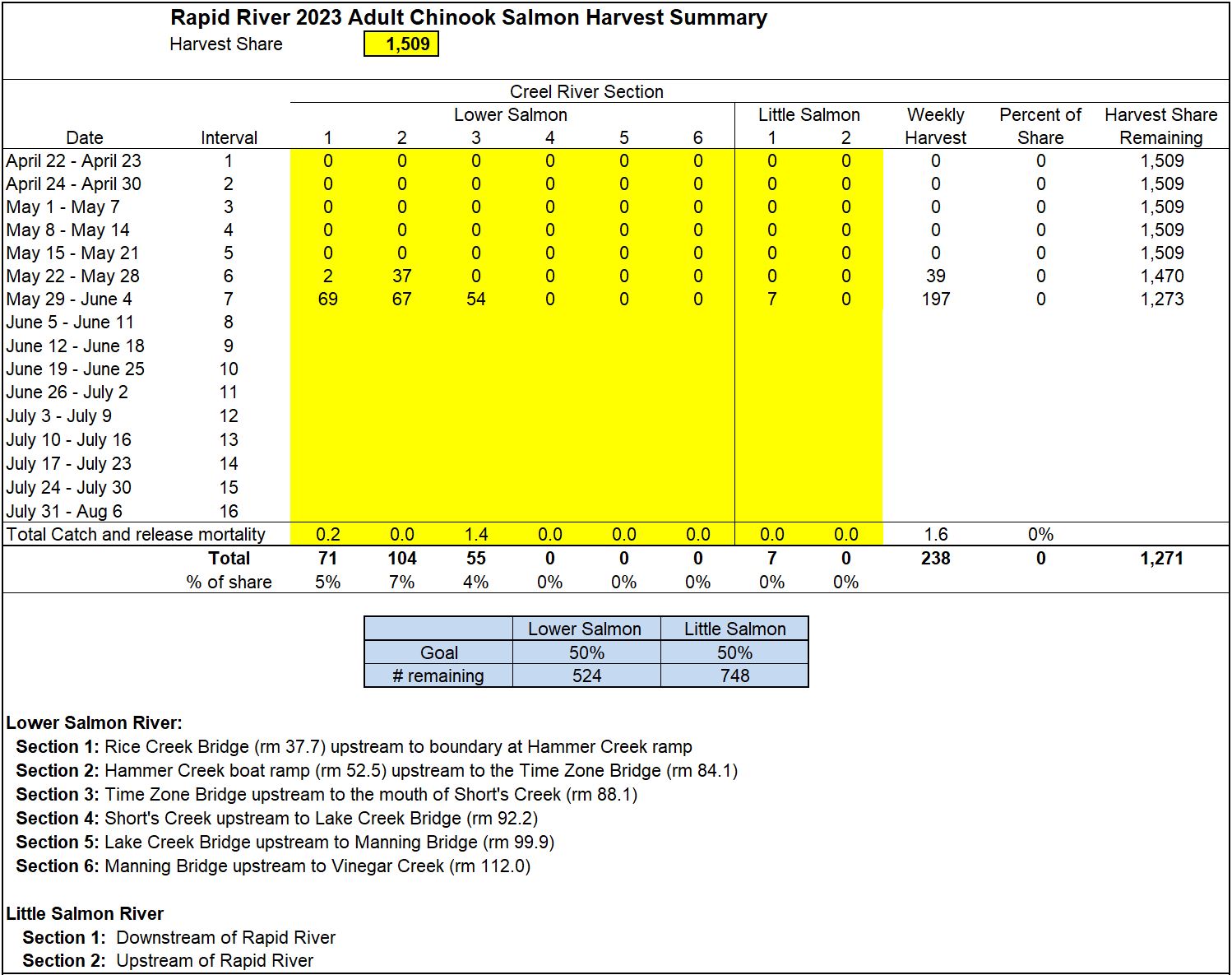Weekly chinook harvest in the lower and Little Salmon rivers 6-6-23