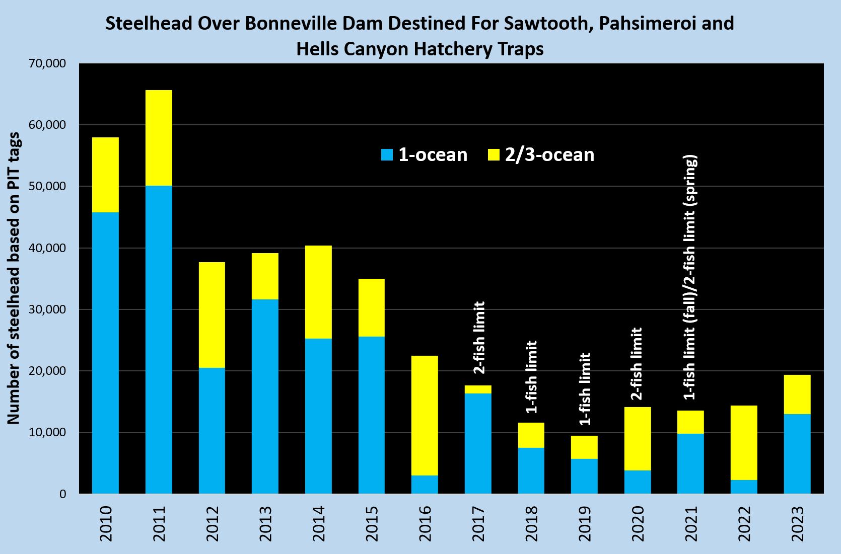 steelhead returns to snake and salmon river traps
