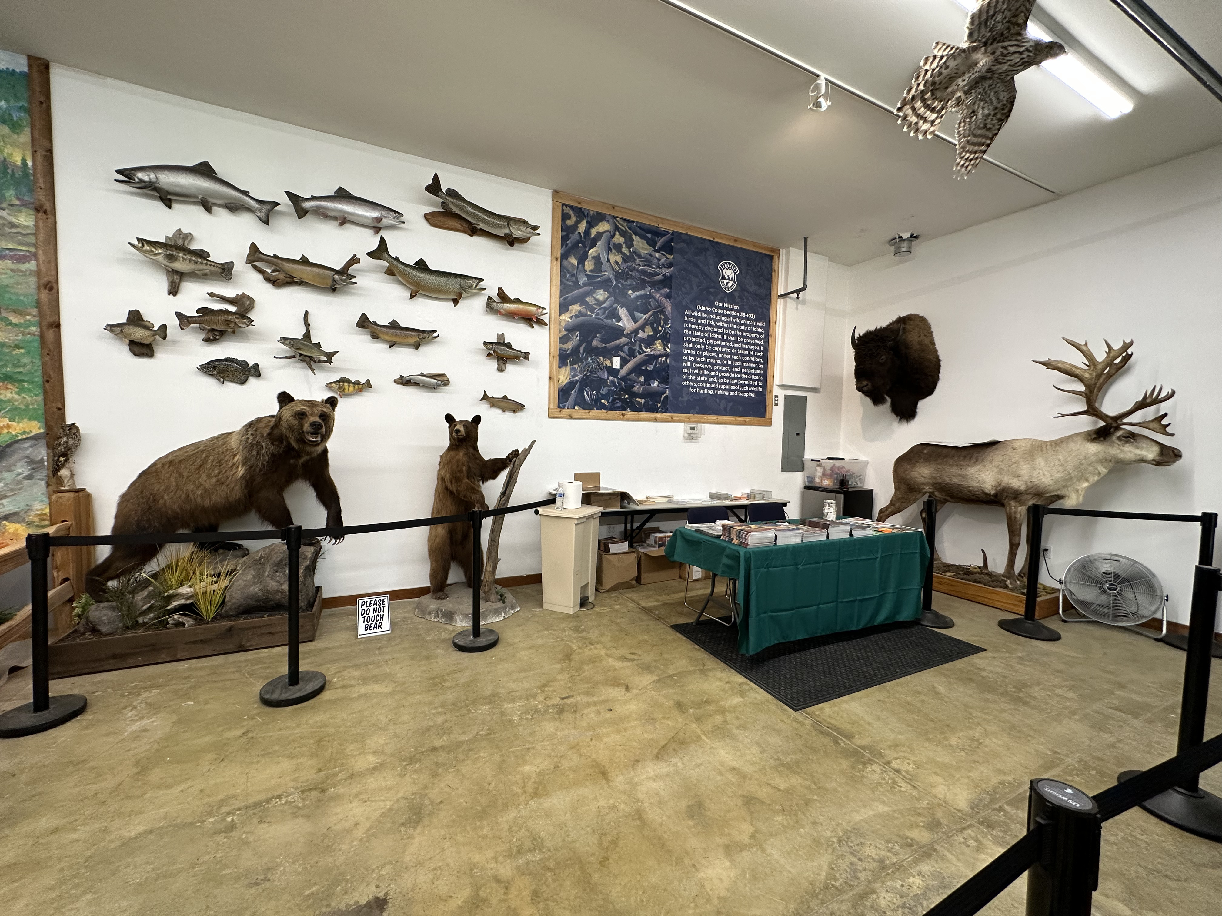 Taxidermy and information booth at the North Idaho State Fairground 3D archery range