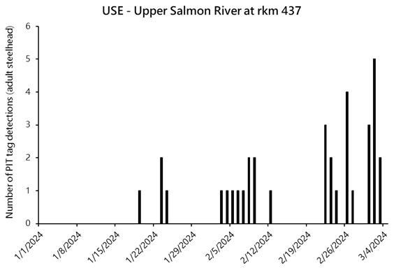 USE PIT steelhead PIT detections spring 2024