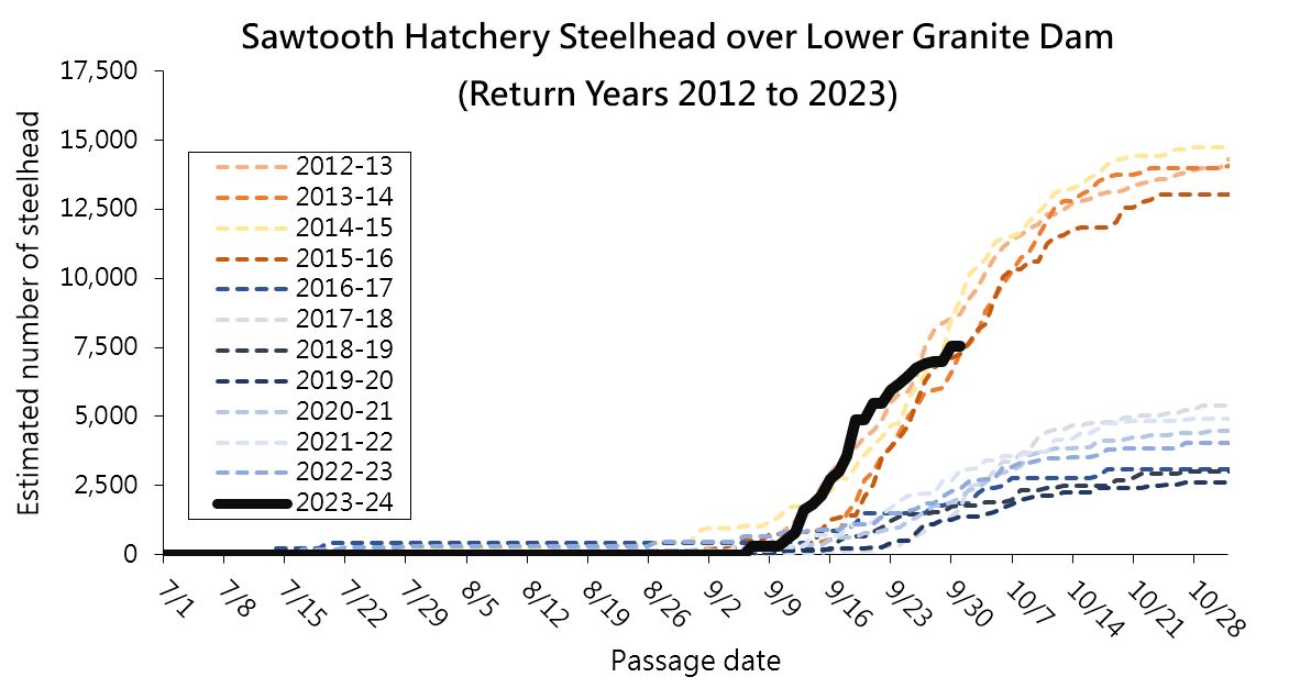 Sawt steelhead at LGD 10-01-2023