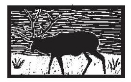woodcut