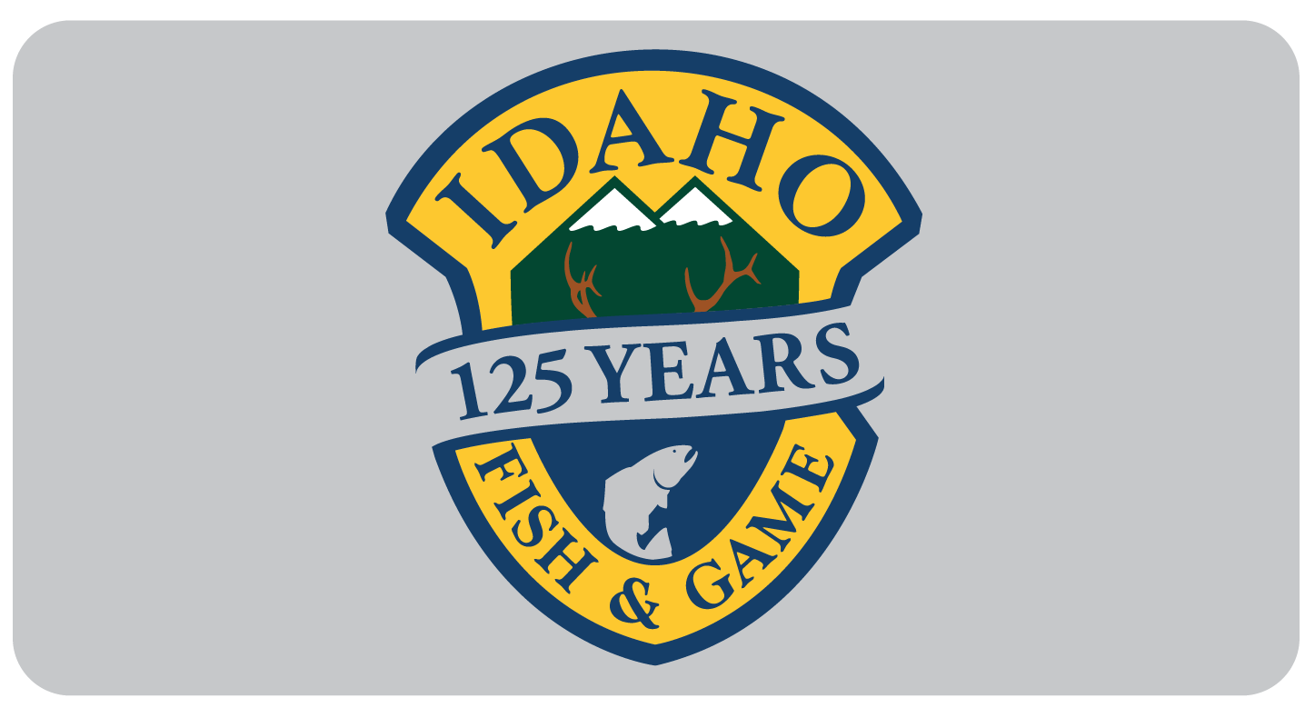 125 logo 2