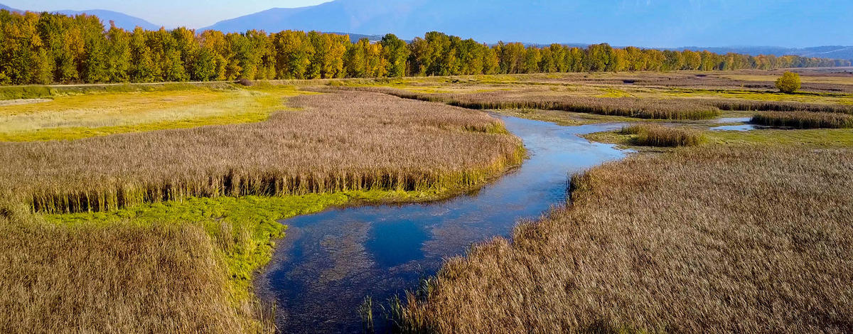 Boundary-Smith Creek WMA scenic 2018