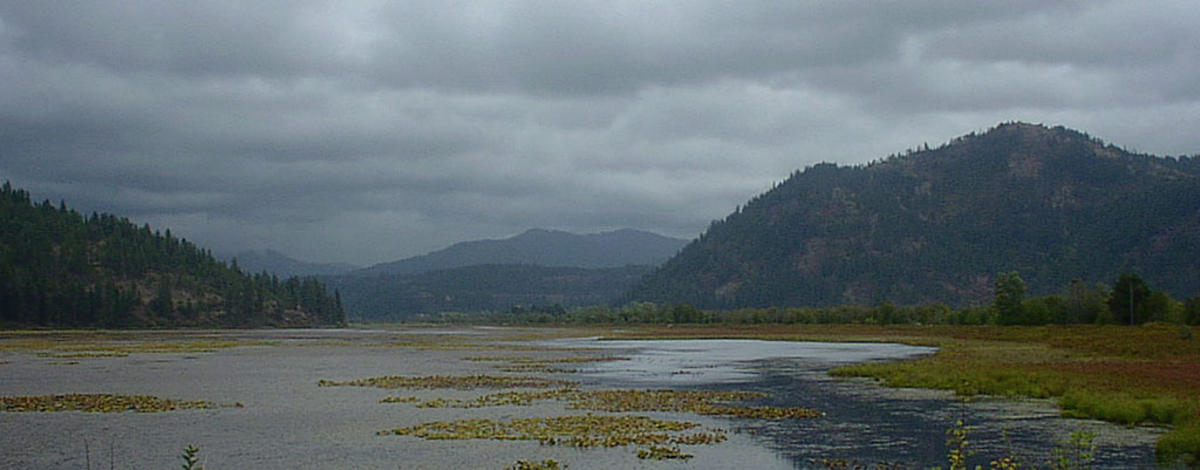 Thompson March - Coeur d' Alene WMA