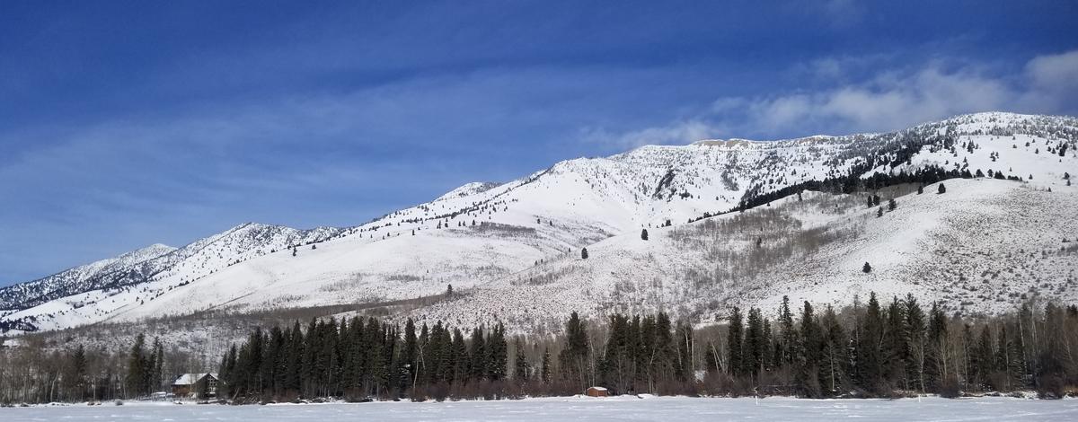 Henrys Lake Winter