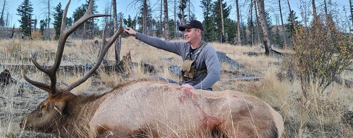 Carson Watkins with a bull elk