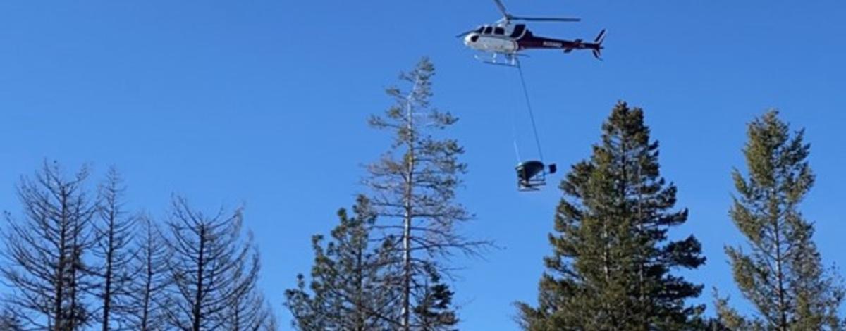 aerial_spray