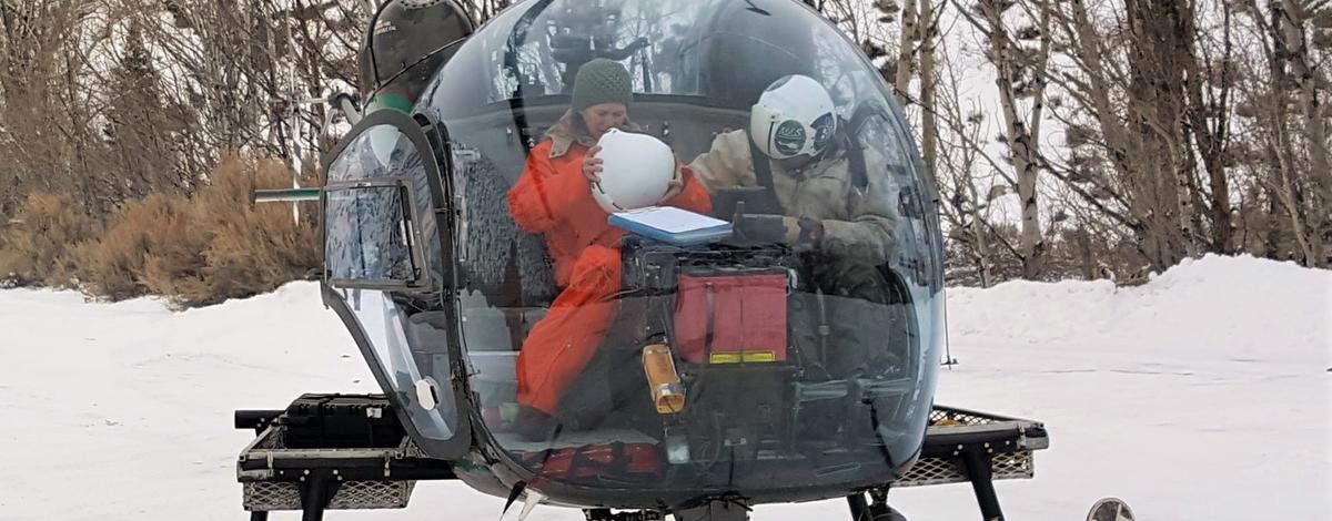 helicopter