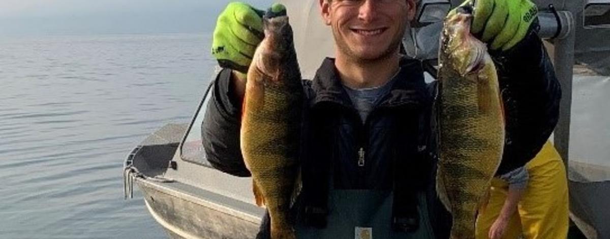 Lake Cascade Perch 2020