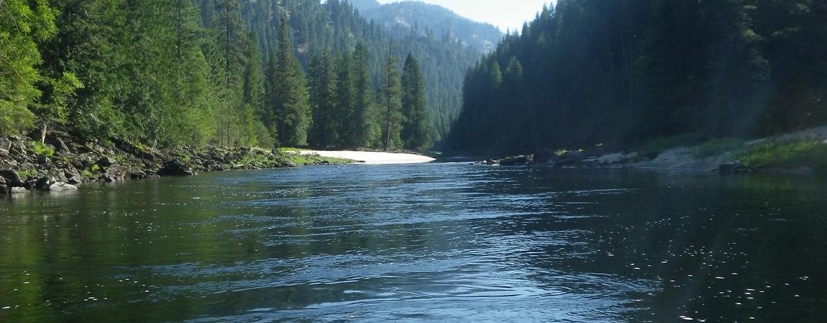 selway_river