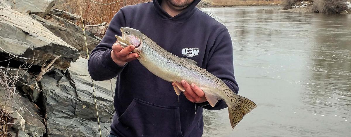 steelhead_3-15-2020
