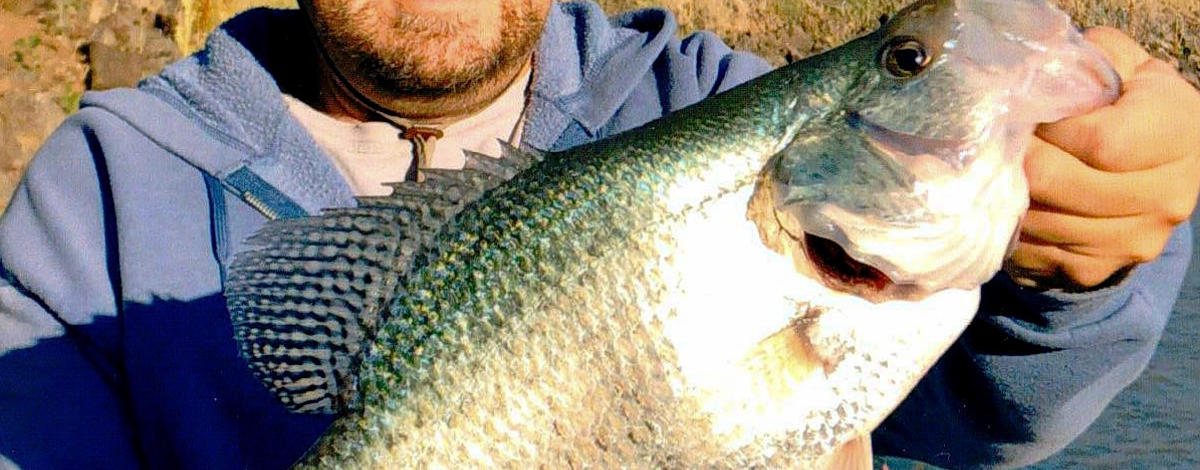 Jon Urban black crappie-thumbnail