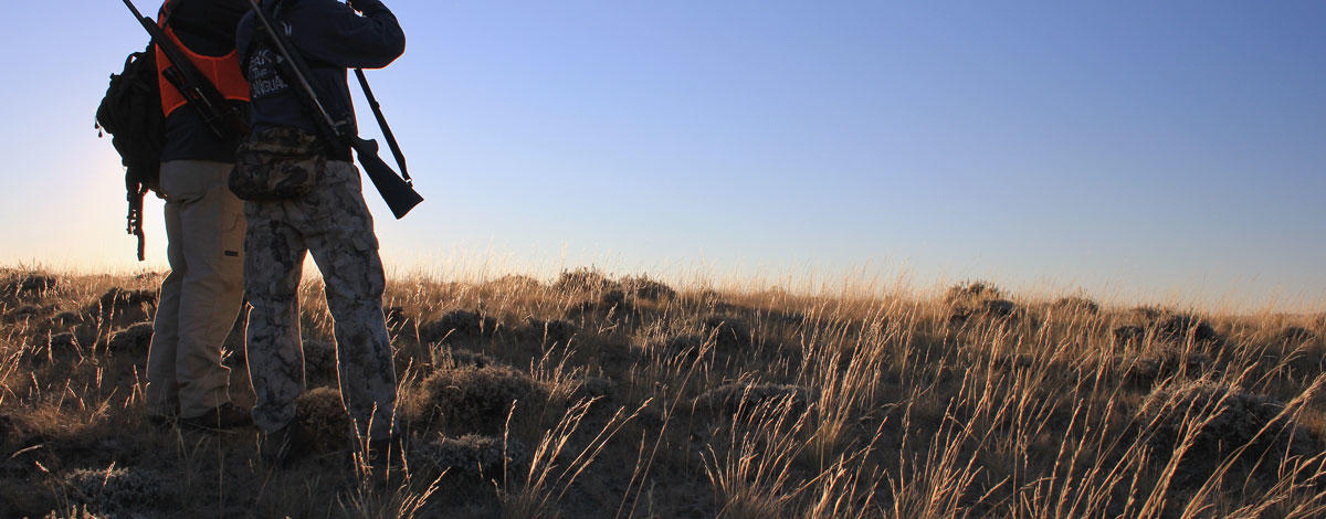 antelope hunters looking for animals with binoculars dressed in hunter orange