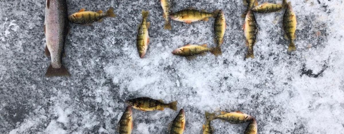 ice_fishing1
