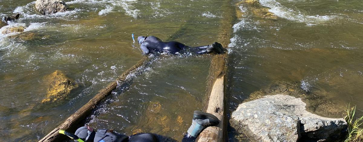 Snorkel crews crawl over a log in a river