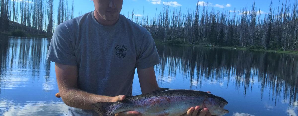Rainbow Trout