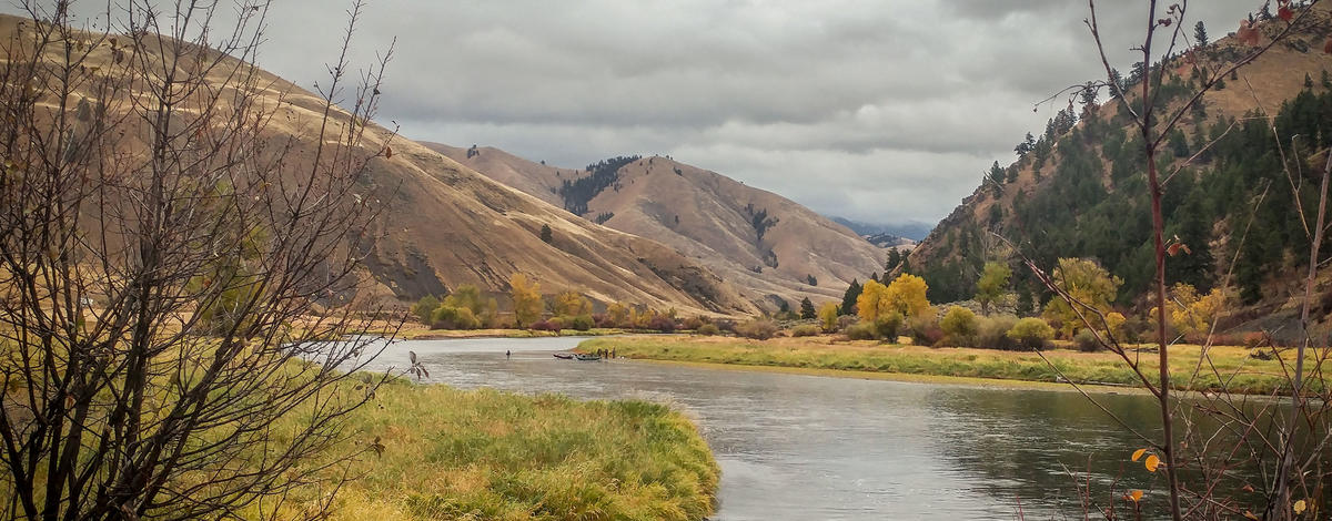 Salmon River below NF