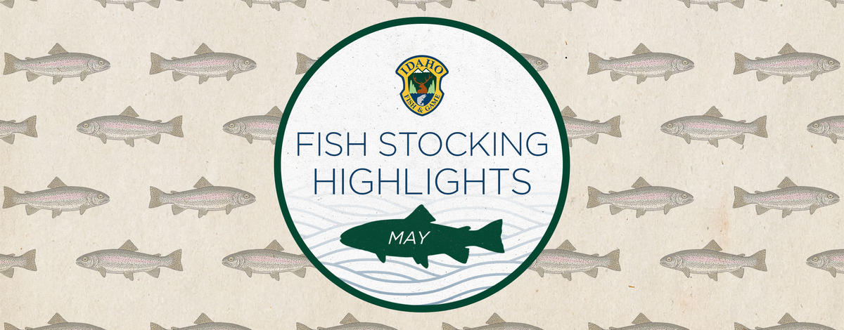 may monthly fish stocking 2024