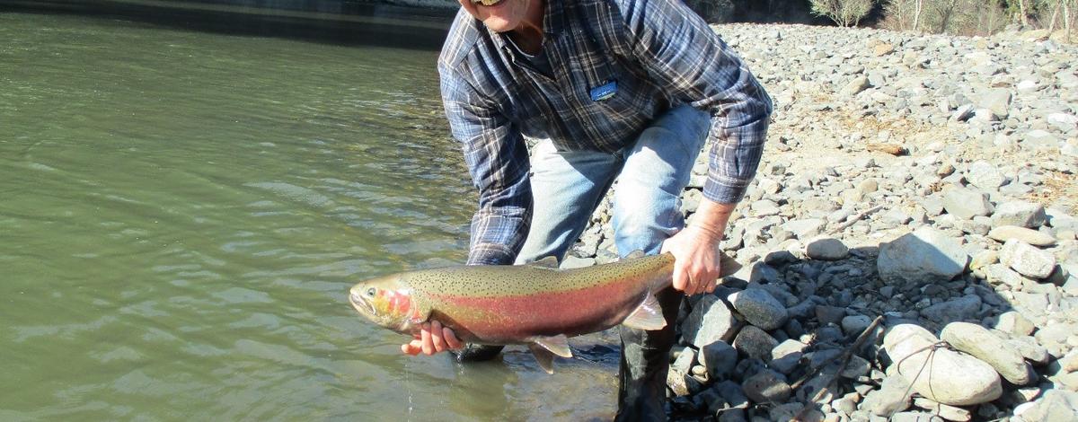 broodstock_anglers4