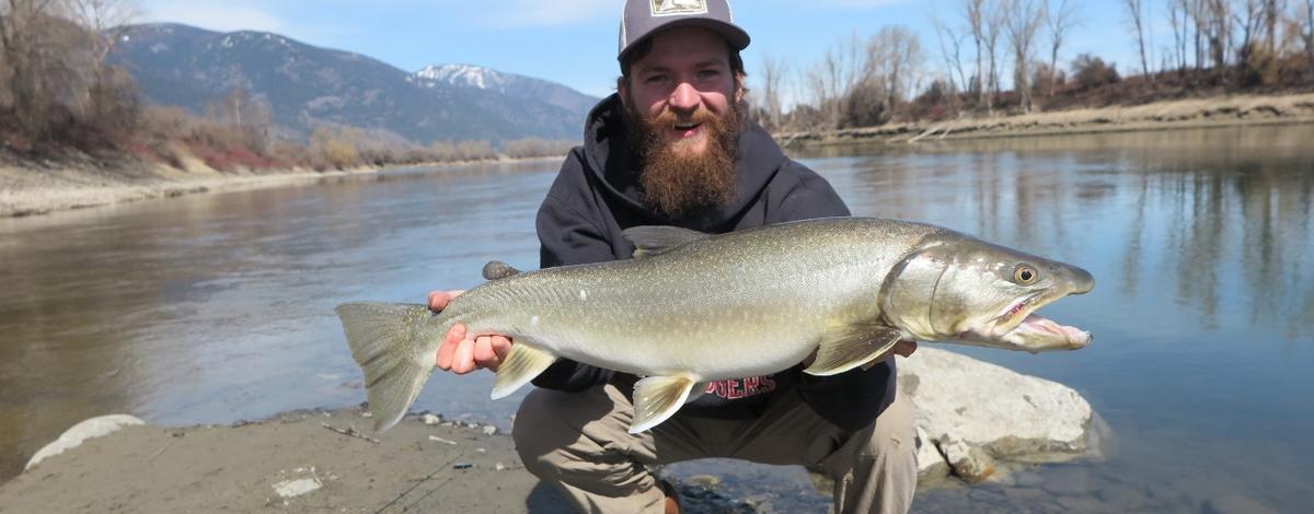 Catch/rel record bull trout 2020